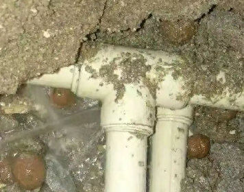 钟祥测漏水多少钱