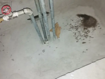 钟祥卫生间测漏水价格明细